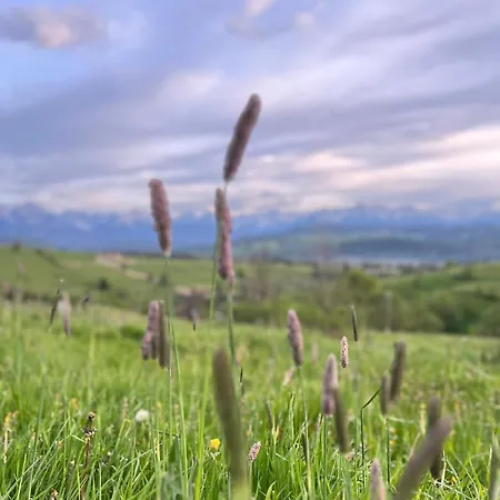 Zakatek U Ili * Rzepiska