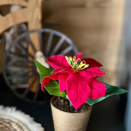 Zakatek U Ili Apartmán Rzepiska