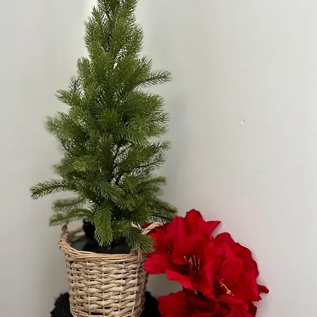 Zakątek U Ili *