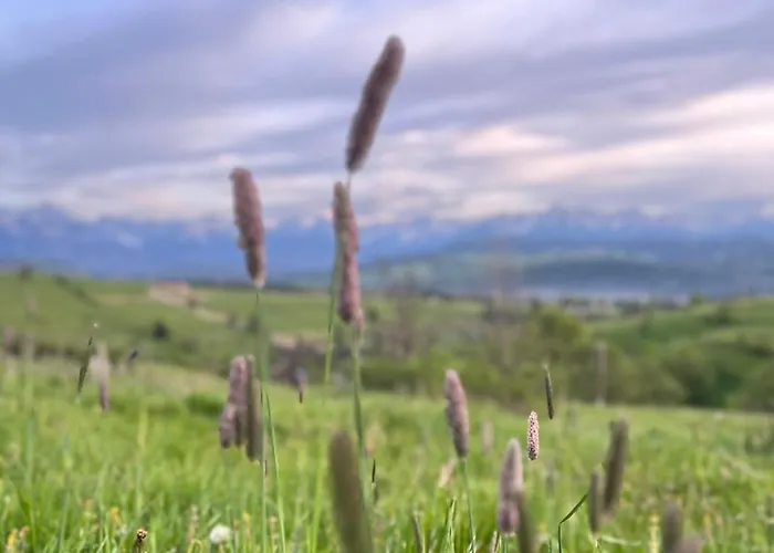 Zakatek U Ili * Rzepiska