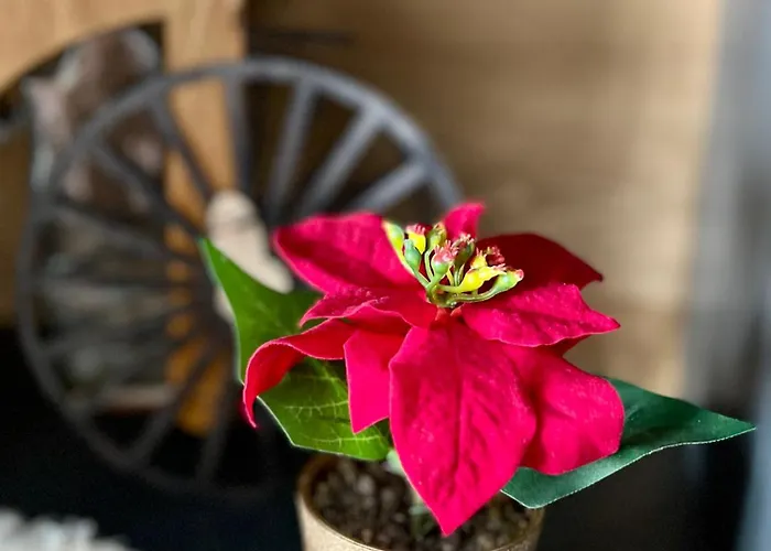 Zakatek U Ili Apartmán Rzepiska